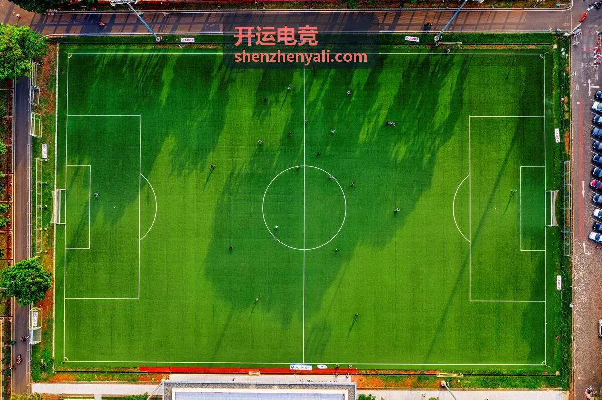 开运电竞队员状态管理