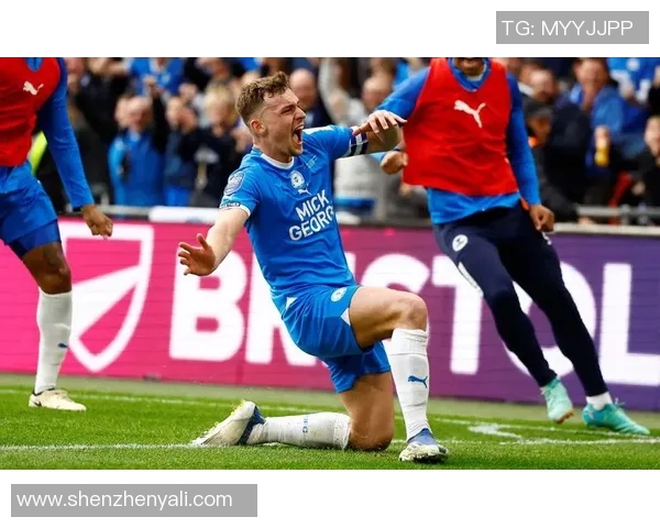 比利时国家足球队的辉煌历程与未来展望分析