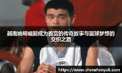 越南姚明崛起成为首富的传奇故事与篮球梦想的交织之路